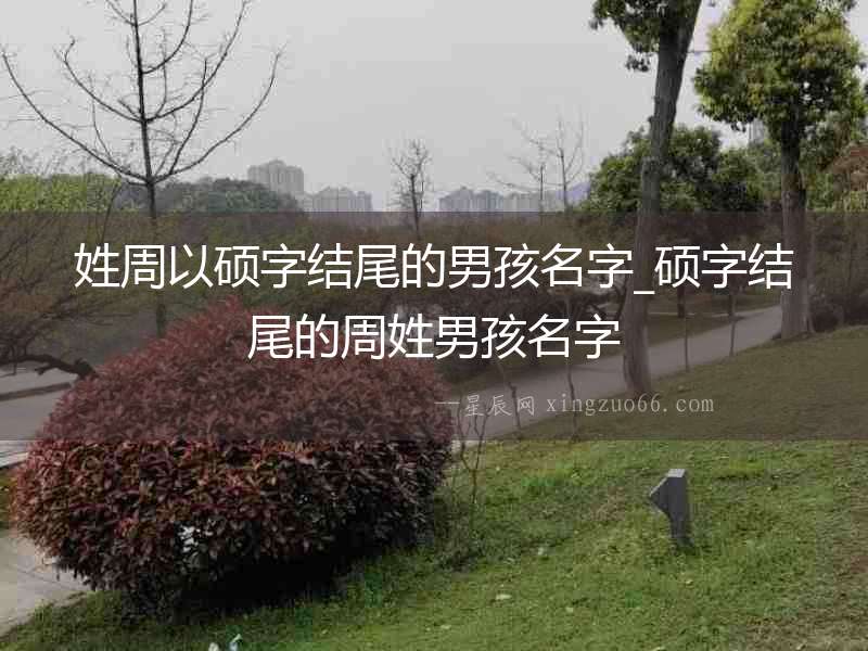 姓周以碩字結尾的男孩名字_碩字結尾的周姓男孩名字