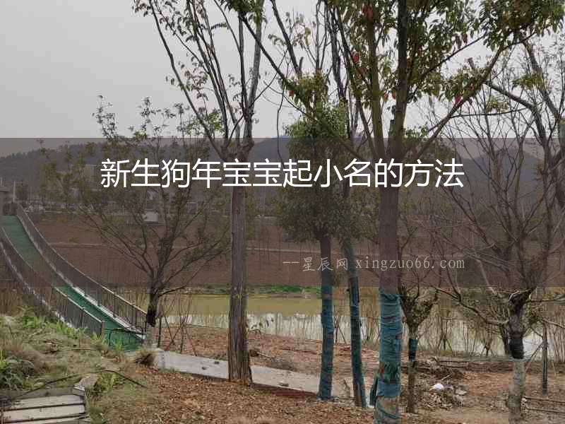 新生狗年寶寶起小名的方法