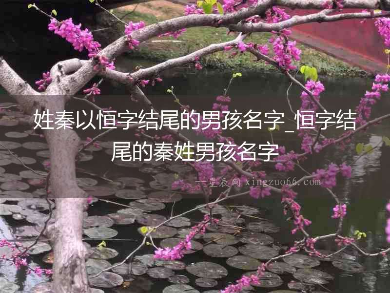 姓秦以恒字結尾的男孩名字_恒字結尾的秦姓男孩名字