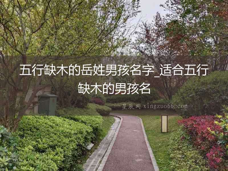 五行缺木的岳姓男孩名字_適合五行缺木的男孩名