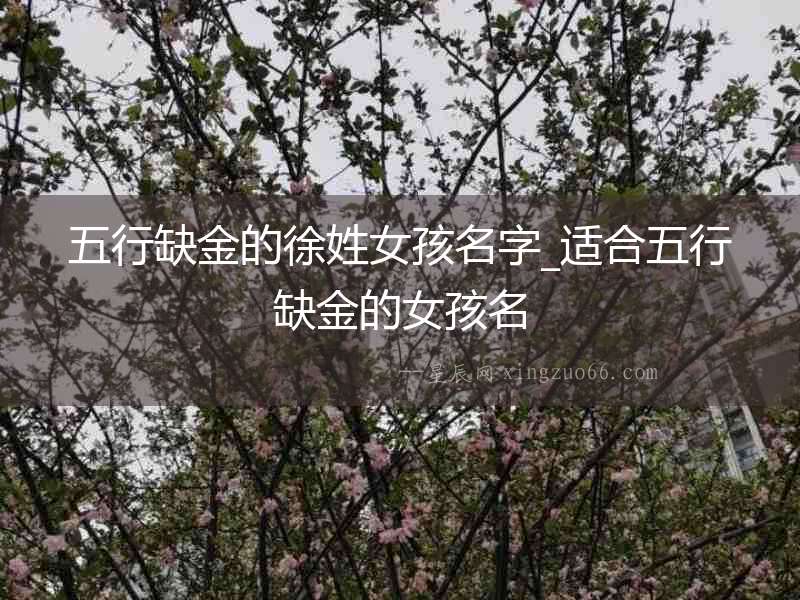 五行缺金的徐姓女孩名字_適合五行缺金的女孩名