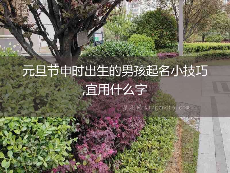 元旦節申時出生的男孩起名小技巧,宜用什么字