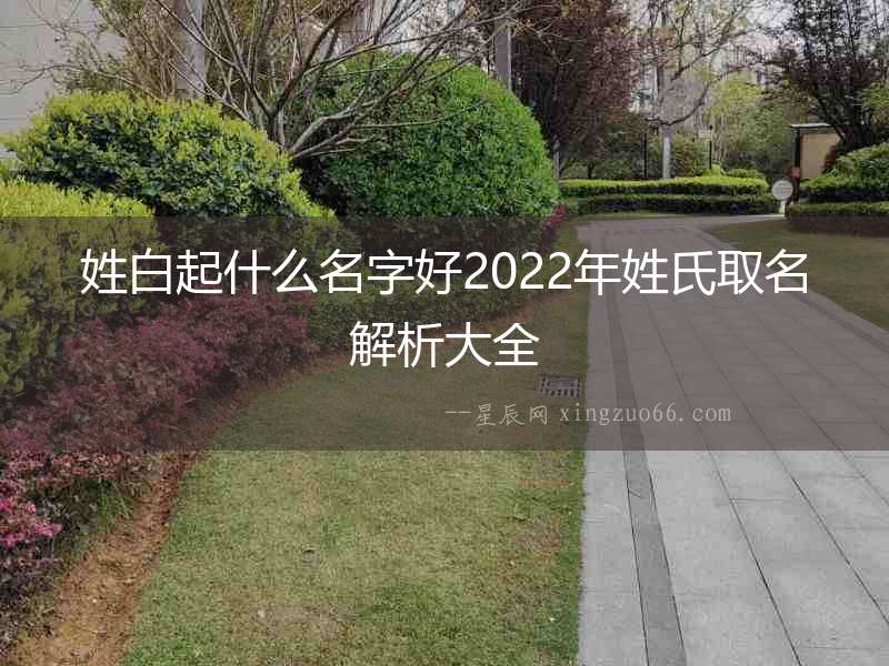姓白起什么名字好2022年姓氏取名解析大全
