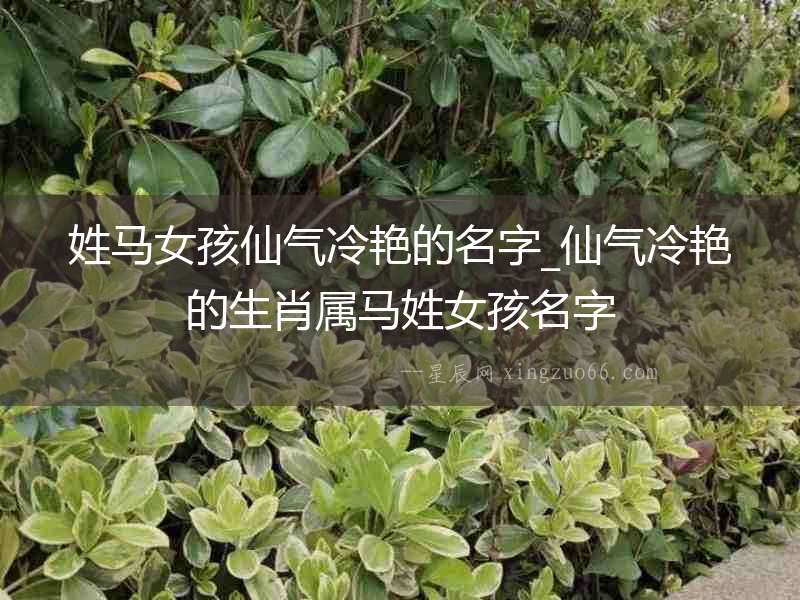 姓馬女孩仙氣冷艷的名字_仙氣冷艷的生肖屬馬姓女孩名字