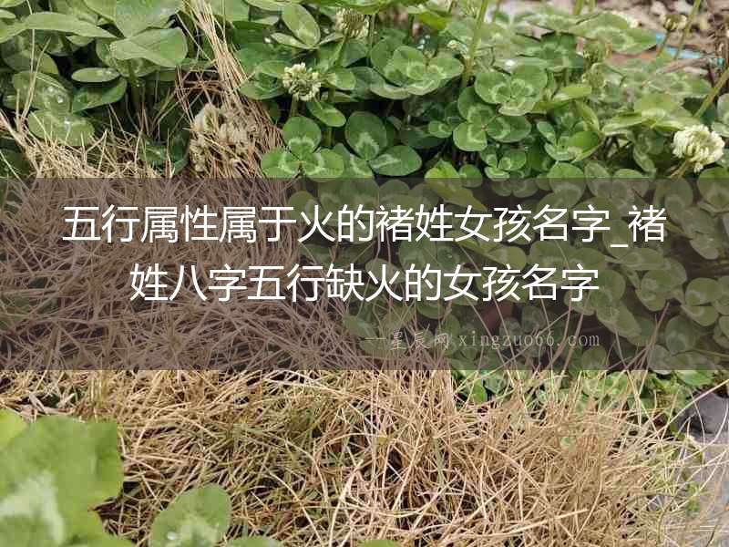 五行屬性屬于火的褚姓女孩名字_褚姓八字五行缺火的女孩名字