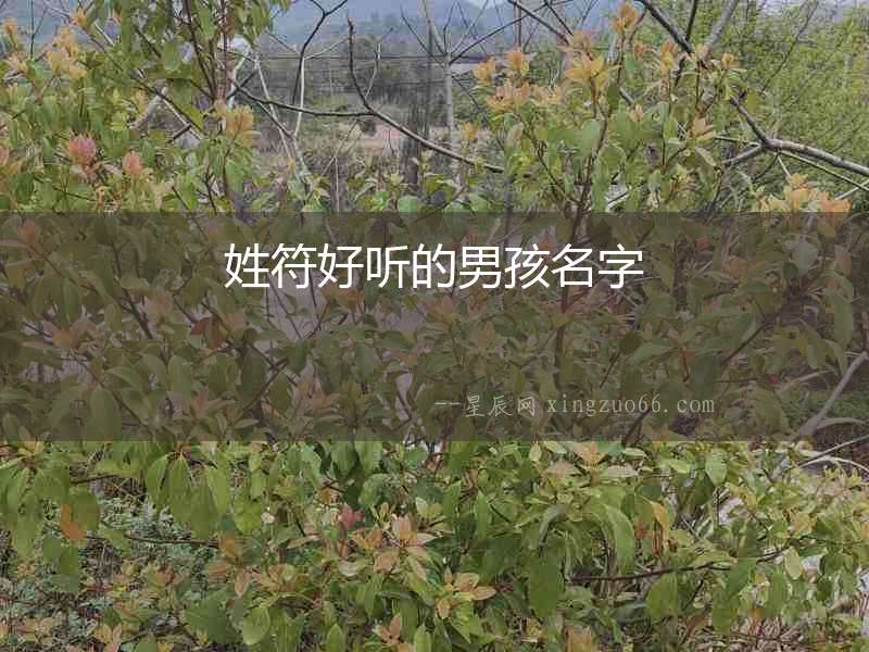 姓符好聽的男孩名字