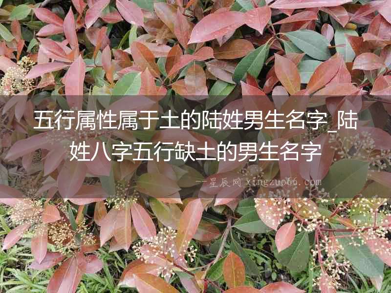 五行屬性屬于土的陸姓男生名字_陸姓八字五行缺土的男生名字