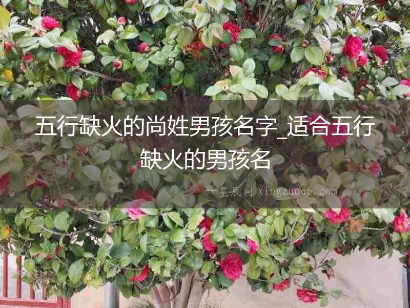 五行缺火的尚姓男孩名字_適合五行缺火的男孩名
