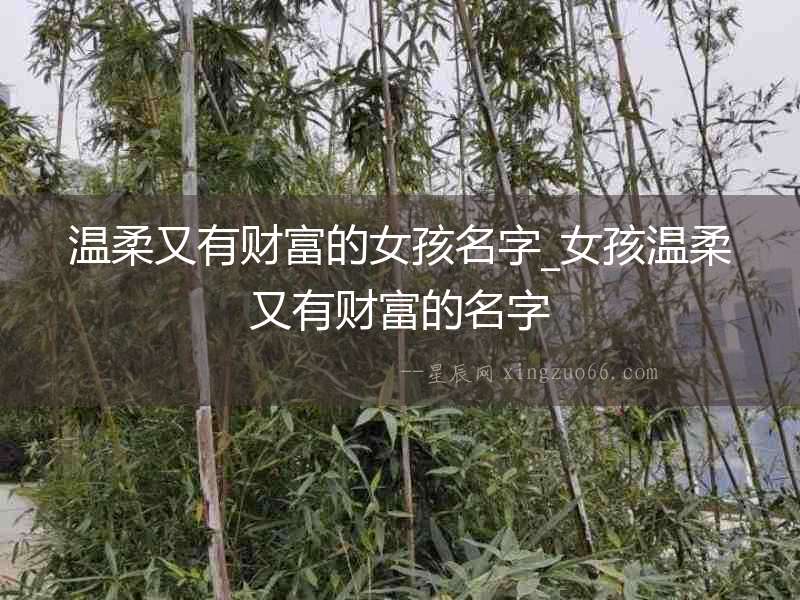 溫柔又有財富的女孩名字_女孩溫柔又有財富的名字