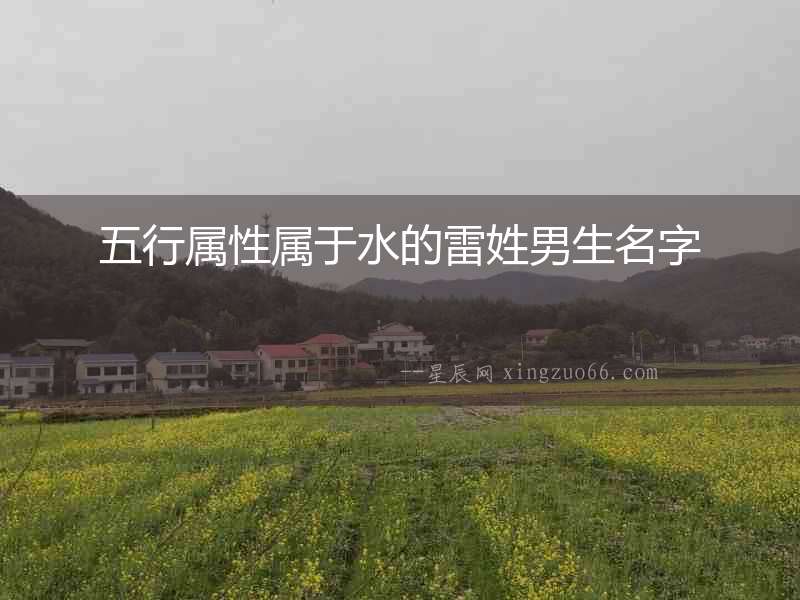 五行屬性屬于水的雷姓男生名字
