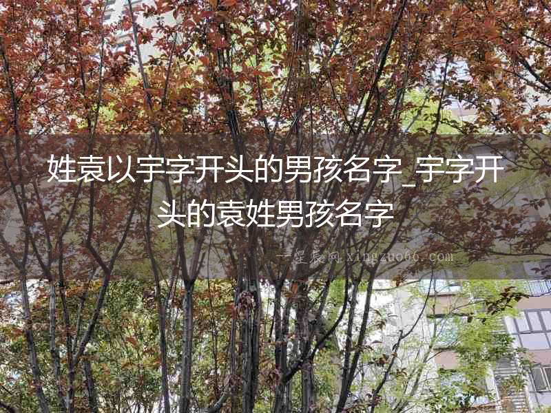 姓袁以宇字開頭的男孩名字_宇字開頭的袁姓男孩名字