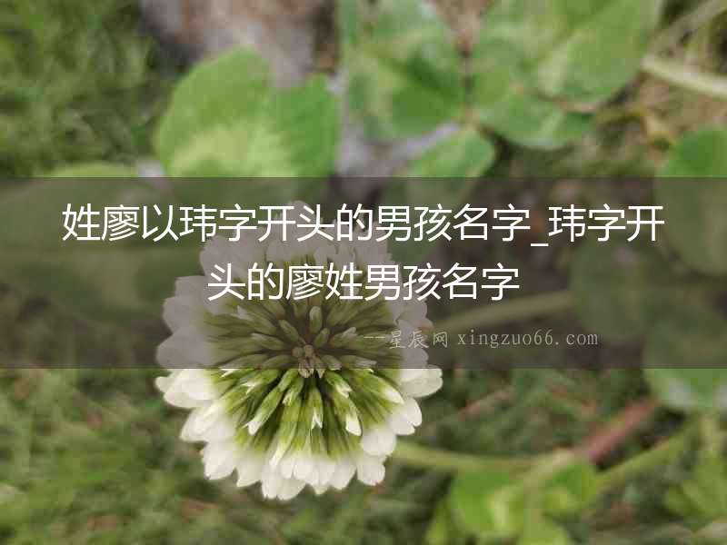 姓廖以瑋字開頭的男孩名字_瑋字開頭的廖姓男孩名字