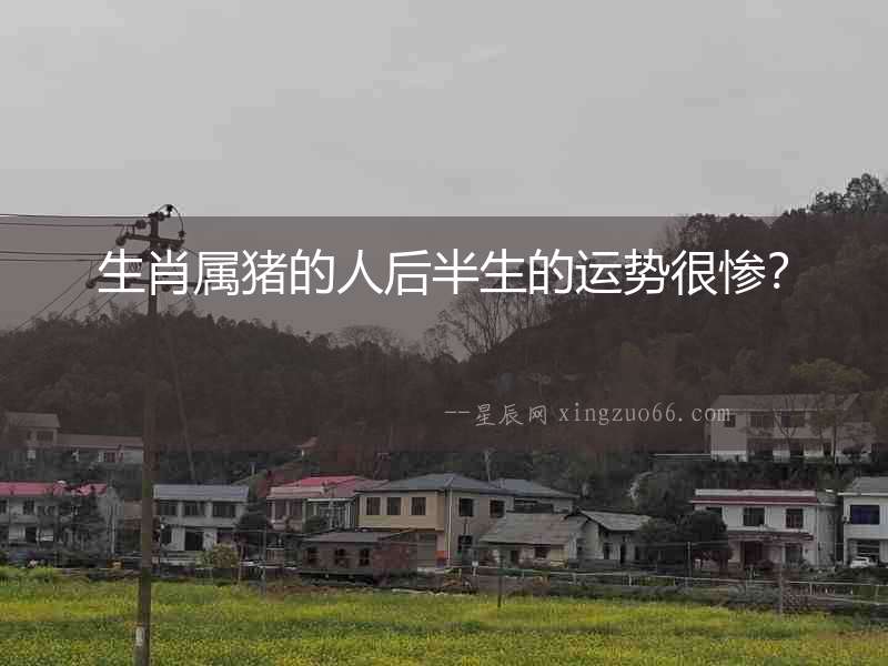 生肖屬豬的人后半生的運勢很慘？