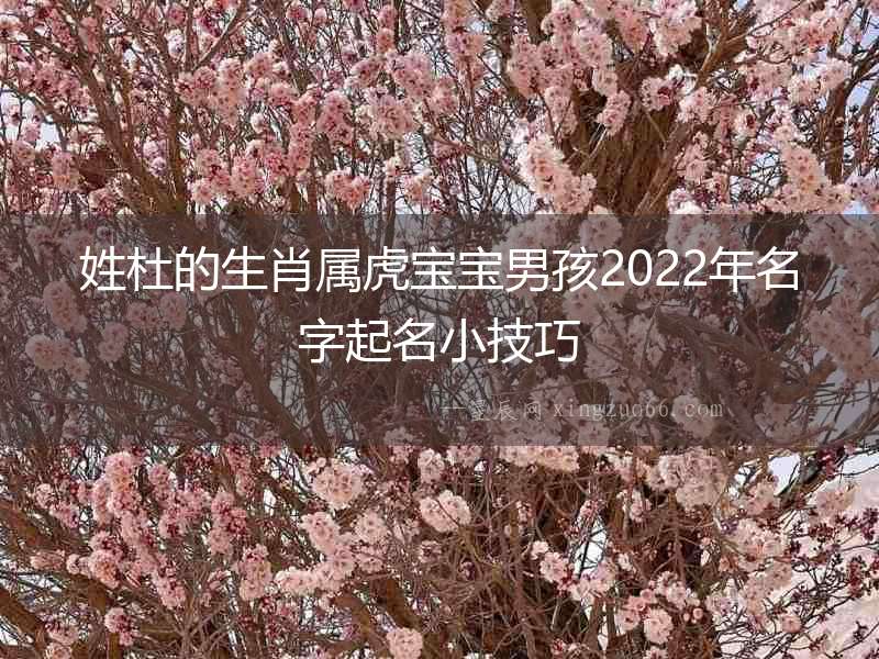姓杜的生肖屬虎寶寶男孩2022年名字起名小技巧