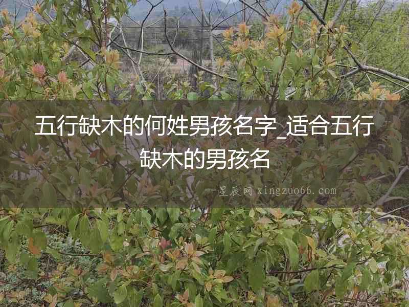 五行缺木的何姓男孩名字_適合五行缺木的男孩名