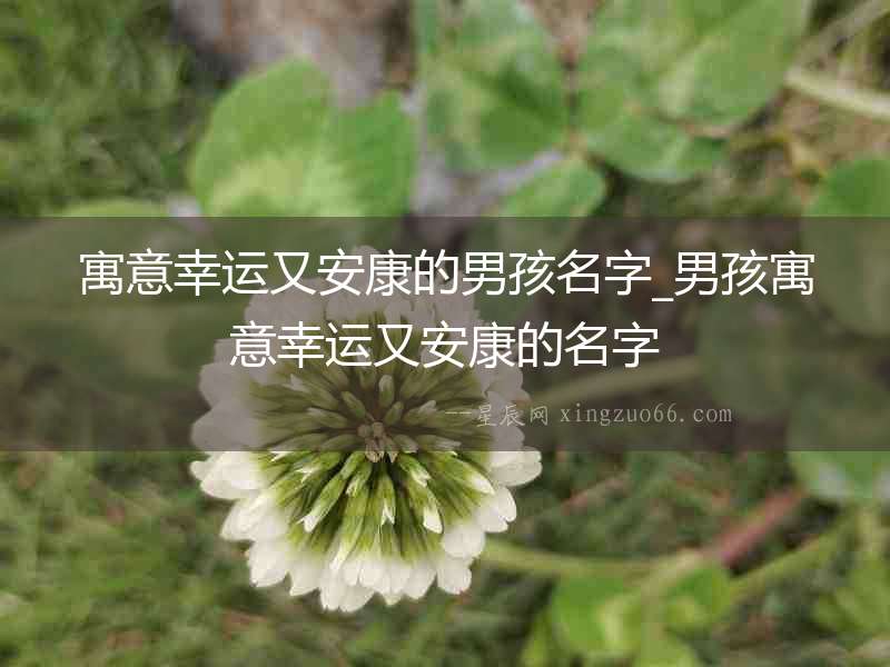 寓意幸運(yùn)又安康的男孩名字_男孩寓意幸運(yùn)又安康的名字
