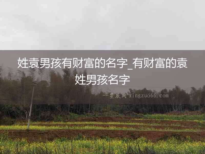 姓袁男孩有財富的名字_有財富的袁姓男孩名字