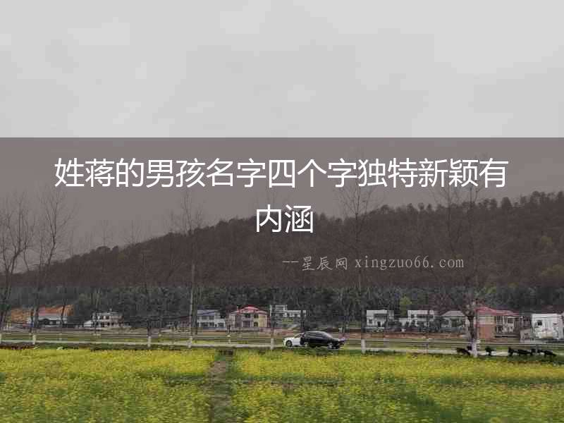 姓蔣的男孩名字四個字獨特新穎有內涵