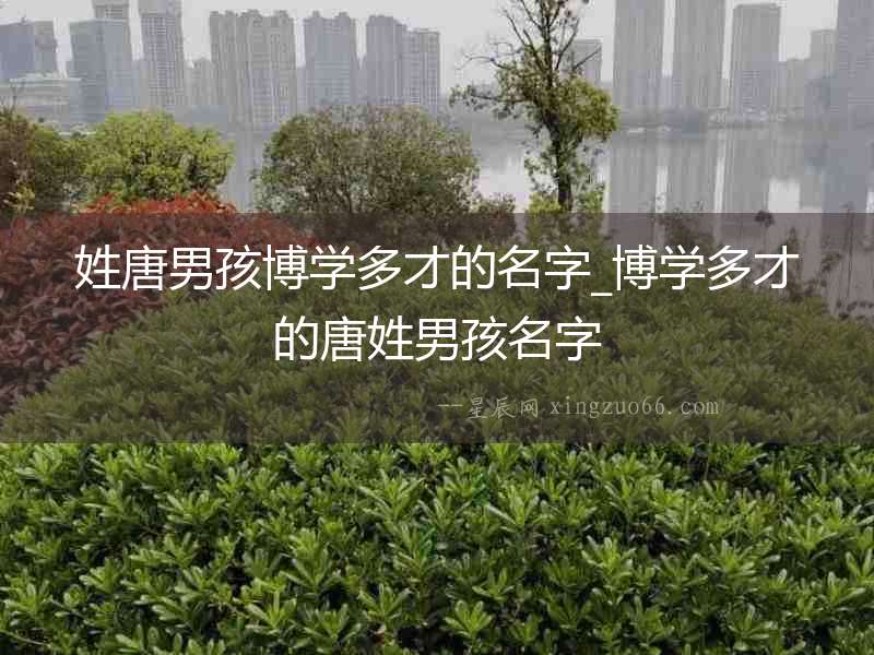 姓唐男孩博學多才的名字_博學多才的唐姓男孩名字
