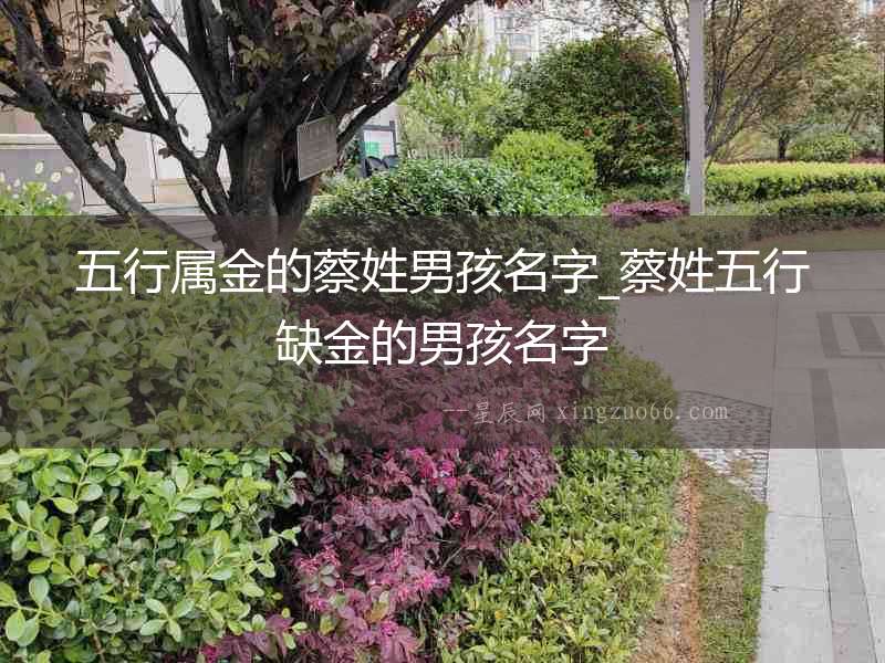 五行屬金的蔡姓男孩名字_蔡姓五行缺金的男孩名字