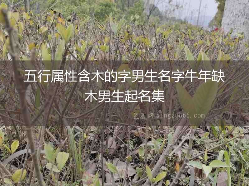 五行屬性含木的字男生名字牛年缺木男生起名集