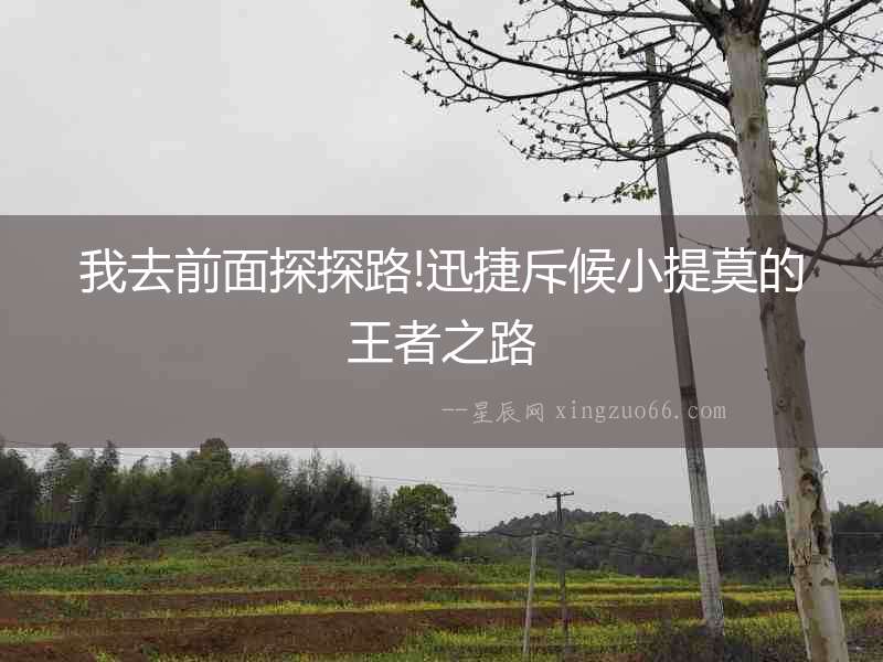 我去前面探探路!迅捷斥候小提莫的王者之路