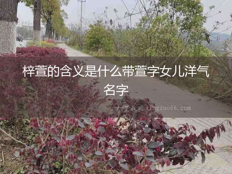 梓萱的含義是什么帶萱字女兒洋氣名字