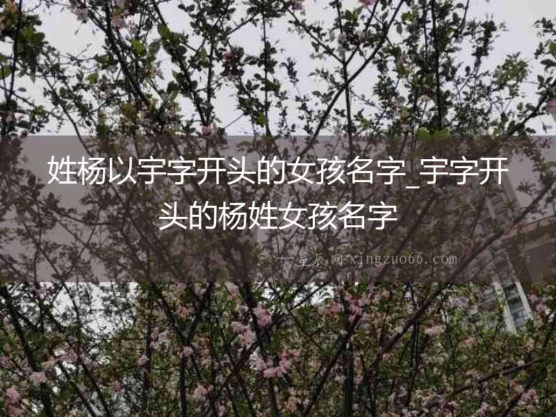 姓楊以宇字開頭的女孩名字_宇字開頭的楊姓女孩名字