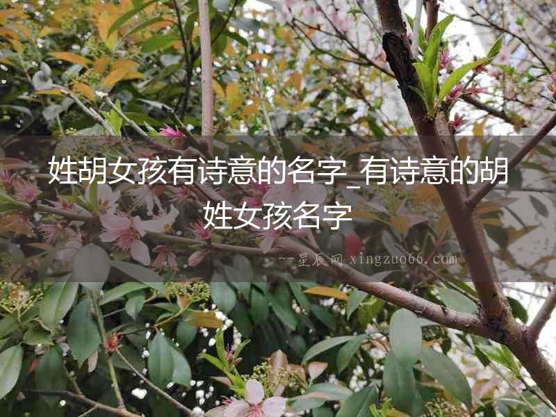 姓胡女孩有詩(shī)意的名字_有詩(shī)意的胡姓女孩名字
