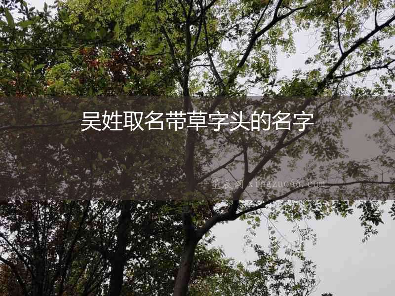 吳姓取名帶草字頭的名字
