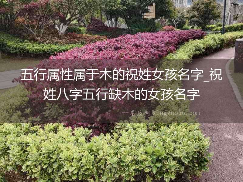 五行屬性屬于木的祝姓女孩名字_祝姓八字五行缺木的女孩名字