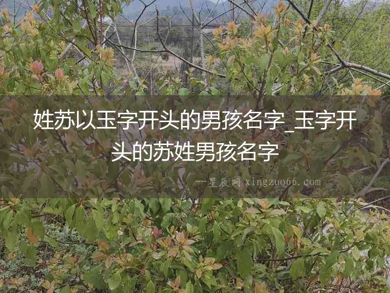 姓蘇以玉字開頭的男孩名字_玉字開頭的蘇姓男孩名字