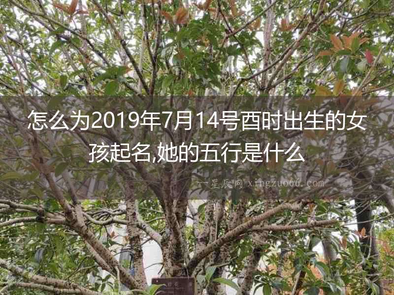 怎么為2019年7月14號(hào)酉時(shí)出生的女孩起名,她的五行是什么