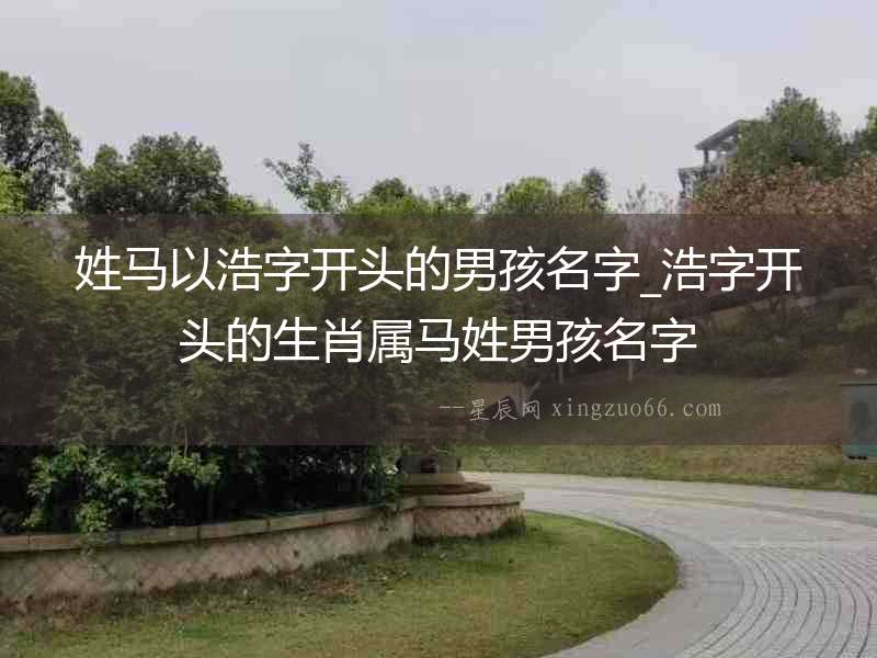 姓馬以浩字開頭的男孩名字_浩字開頭的生肖屬馬姓男孩名字