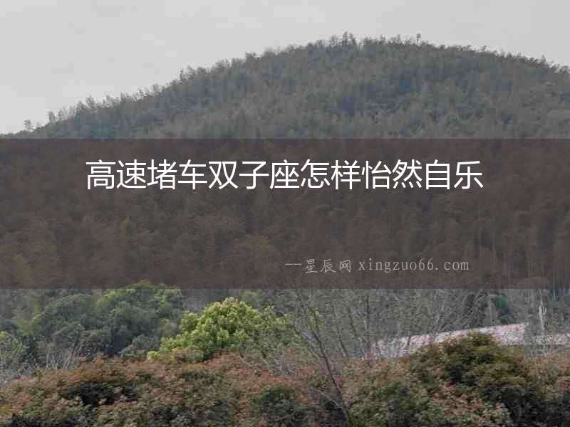 高速堵車雙子座怎樣怡然自樂