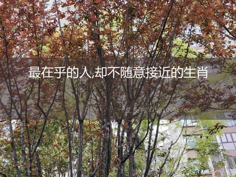 最在乎的人,卻不隨意接近的生肖