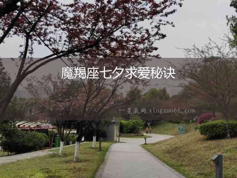 魔羯座七夕求愛秘訣