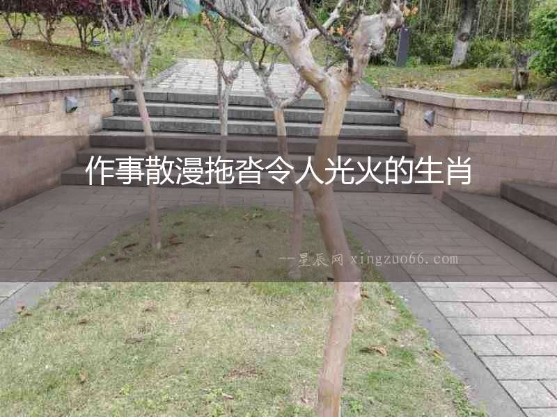作事散漫拖沓令人光火的生肖