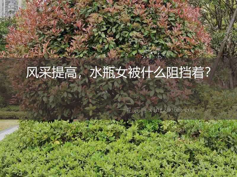 風(fēng)采提高，水瓶女被什么阻擋著？