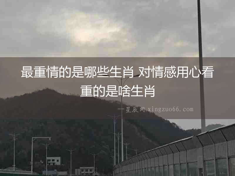 最重情的是哪些生肖 對情感用心看重的是啥生肖