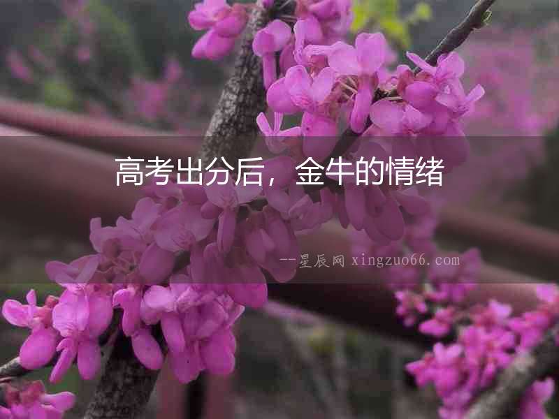高考出分后，金牛的情緒