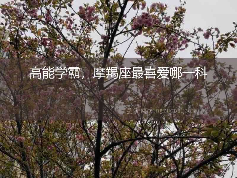 高能學(xué)霸，摩羯座最喜愛哪一科