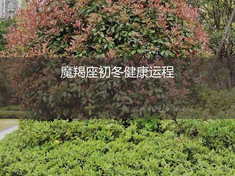 魔羯座初冬健康運程