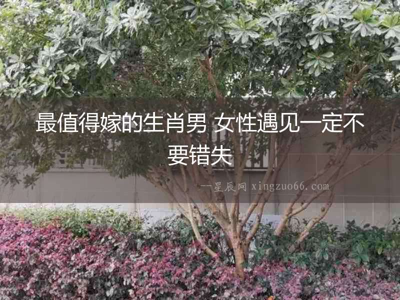 最值得嫁的生肖男 女性遇見(jiàn)一定不要錯(cuò)失