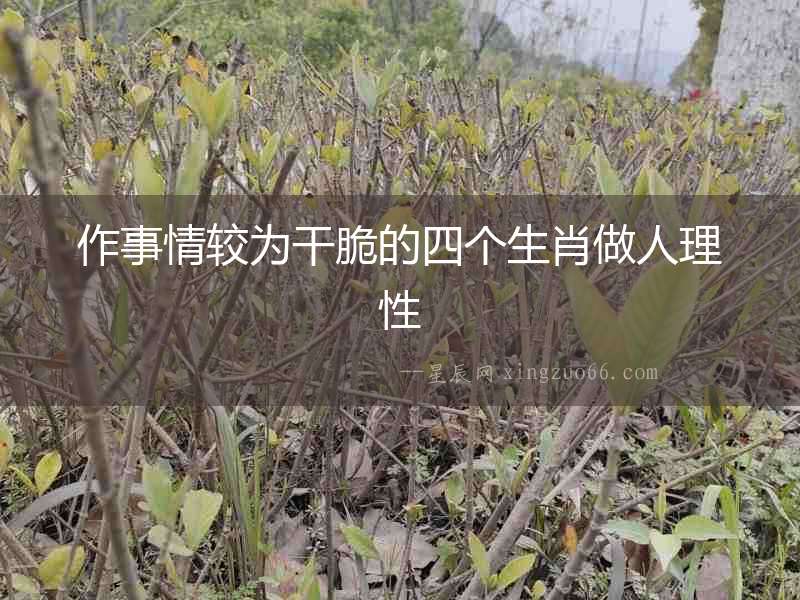 作事情較為干脆的四個生肖做人理性