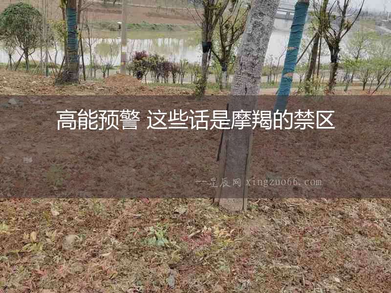 高能預警 這些話是摩羯的禁區