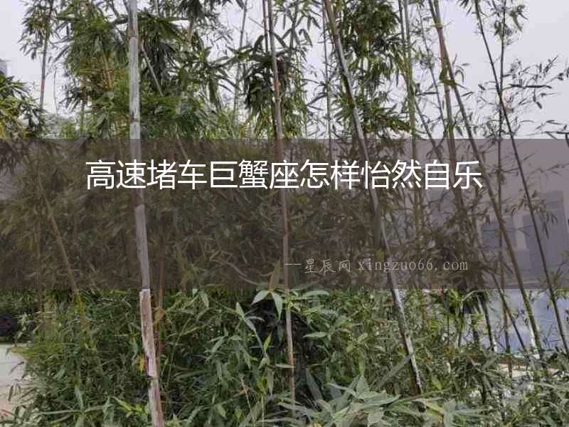 高速堵車巨蟹座怎樣怡然自樂