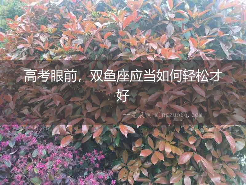 高考眼前，雙魚座應當如何輕松才好