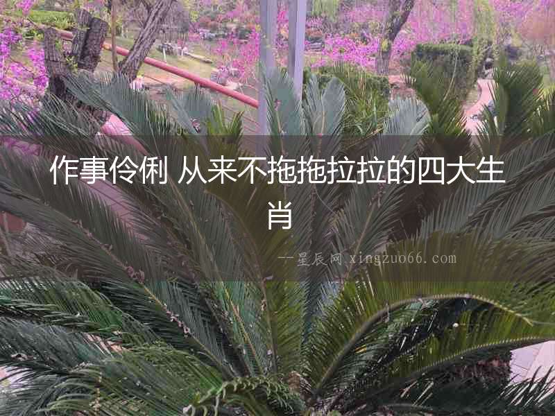 作事伶俐 從來不拖拖拉拉的四大生肖