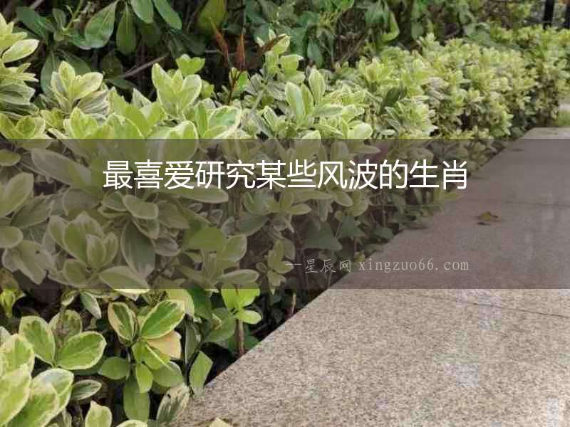 最喜愛研究某些風波的生肖